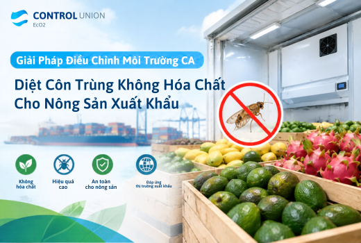 Giải Pháp Điều Chỉnh Môi Trường CA: Diệt Côn Trùng Không Hóa Chất Cho Nông Sản Xuất Khẩu